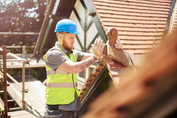 Best Roof Gutter Cleaning  in Mansfield, TX